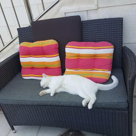 Ira - Comfort Studio With Terrace 3 Adults Ντουμπρόβνικ